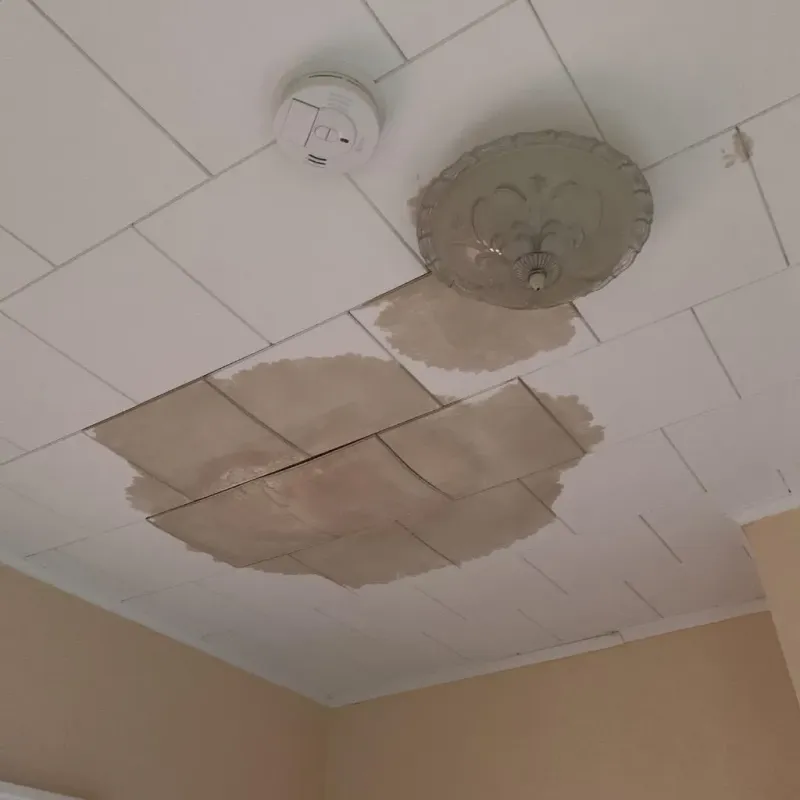 Ceiling Water Damage Repair in Sargent County, ND