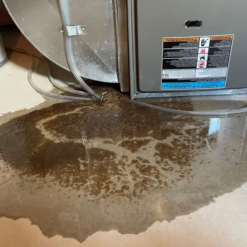 Pipe Burst and Leak Restoration in Sargent County, ND